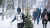 Der Weihnachtsbaum wird vor dem Kauf lieber vor Ort inspiziert (Quelle: Oleksandr Pidvalnyi/Pixabay)