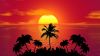 Tropischer Sonnenuntergang - Urlaubsstimmung