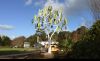 Wind Tree