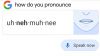 Google Pronounce