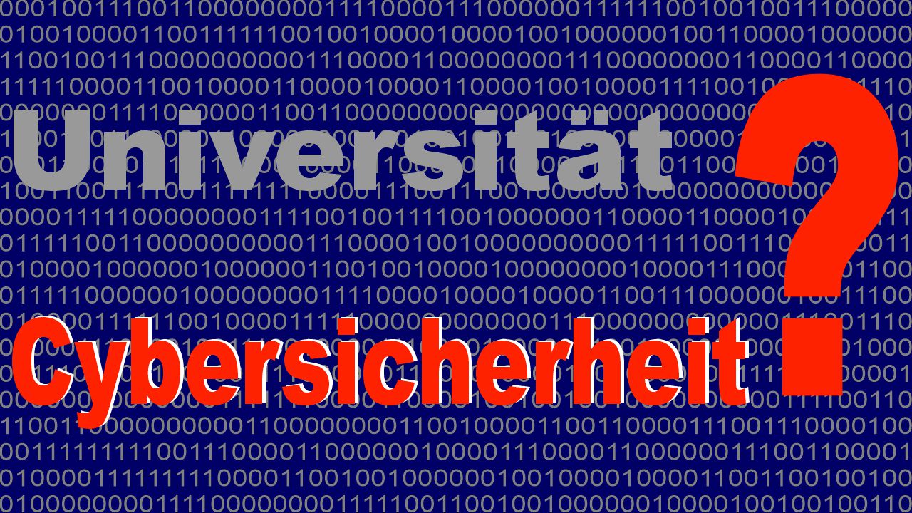 Die meisten Schwachstellen findet man bei großen Voll- und Technischen Universitäten, die größte Schwachstellendichte allerdings bei kleineren Universitäten. (Quelle: hiz)