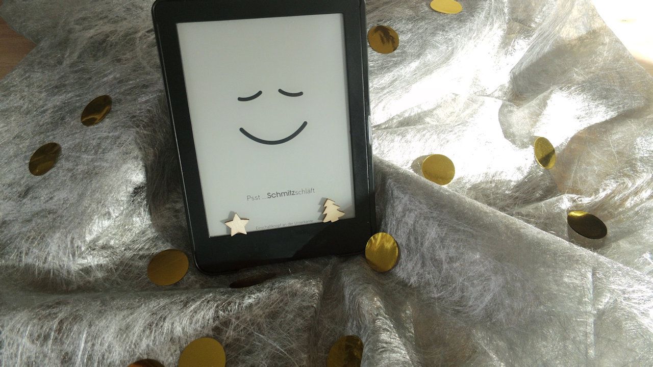 Die Weihnachtspause heißt statt schreiben mal wieder lesen - wie jedes Jahr. (Quelle: hiz)