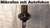 Das Lewitt Ray Mikrofon hält den Ausgangspegel bei wechselnder Entfernung des Sprechers konstant. (Quelle: hiz)